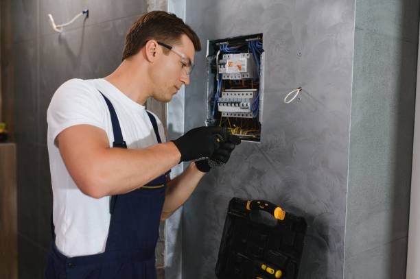 Best Electrical System Inspection  in Lepanto, AR